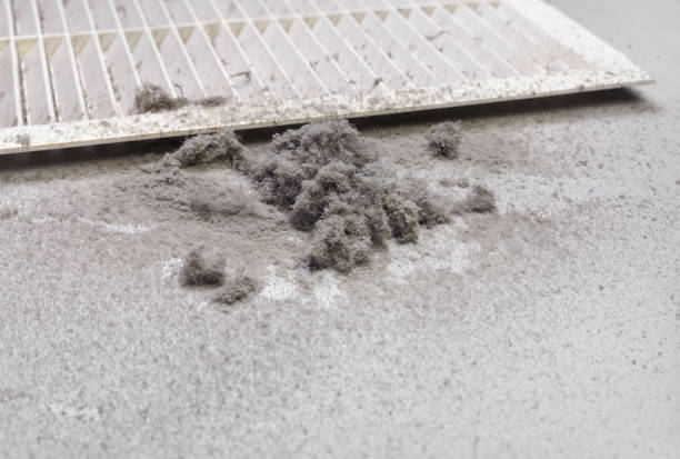Best Home Air Vent Cleaning  in Mont Belvieu, TX