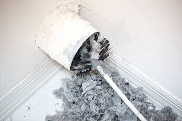 Air Duct Mold Removal in TX